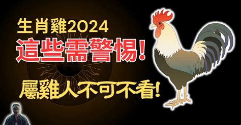 1993屬雞2024運勢|2024年屬雞人全年整體運勢詳解